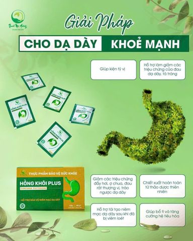 Dạ Dày Hồng Khôi Thanh Mộc Hương 100gr - Giải Pháp Hỗ Trợ Tiêu Hóa Tự Nhiên, Chính Hãng Chất Lượng Cao