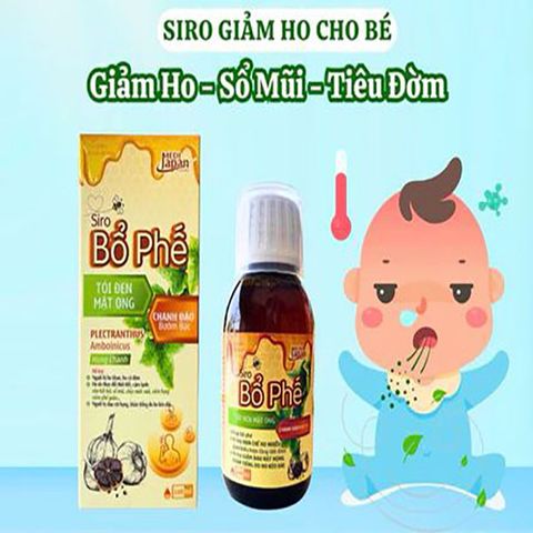 Siro Bổ Phế Tỏi Đen & Mật Ong - Giảm Ho, Khản Tiếng, Tiêu Đờm Tự Nhiên cho Trẻ Em và Người Lớn - Hỗ Trợ Sức Khỏe Hô Hấp
