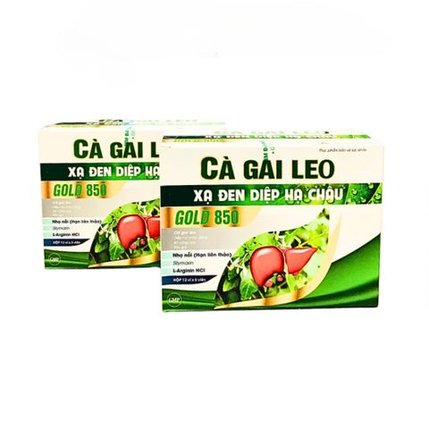 Viên uống Cà Gai Leo Xạ Đen Diệp Hạ Châu Gold 850 - Hỗ trợ giải độc gan và bảo vệ sức khỏe gan - Hộp 60 viên chất lượng cao