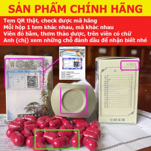 Viên Nhân Sâm Linh Chi Tắc Kè Đại Bổ 30 Viên - Tăng Cường Sức Khỏe, Hỗ Trợ Tiêu Hóa và Thể Trạng Tốt Hơn