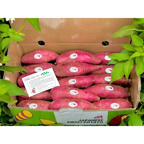 Khoai Lang Nhật Xuất Khẩu Size S (70-150g/củ) - Ngọt Dẻo Tự Nhiên, Chất Lượng Cao, Đóng 3kg/Thùng, Lựa Chọn Tốt Cho Gia Đình và Xuất Khẩu