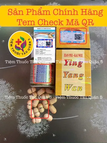 Viên uống Dinh Dưỡng Hoàn Zian Pee Kai Wee - Hỗ trợ Tăng Cân và Cải Thiện Tiêu Hóa - Hàng Chính Hãng Hong Kong 33 Viên