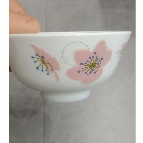 Bộ bát đĩa thủy tinh Larah Borosil 10 chi tiết - Dùng lò vi sóng, máy rửa bát, thiết kế sang trọng, sản xuất tại Ấn Độ