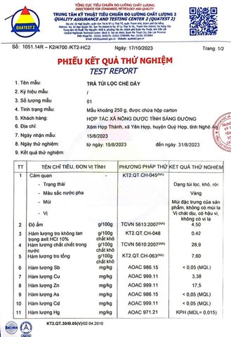 Trà Túi Lọc Chè Dây Thiên Nhiên - Hỗ Trợ Tiêu Hoá, Giảm Đau Dạ Dày, Kháng Viêm, 250g Thảo Dược Việt Nam