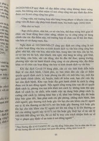 Bình luận Bộ luật Hình sự 2015 - Các tội phạm xâm phạm an toàn, trật tự công cộng - NXB Thông tin và Truyền thông, Tác giả Đinh Văn Quế