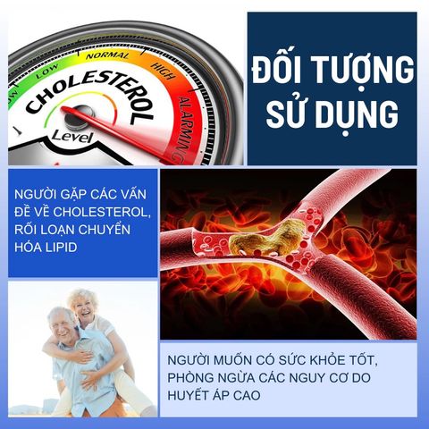 Trà Giảo Cổ Lam Đông Trùng Mộc Can - Hỗ Trợ Tim Mạch, Huyết Áp - Thảo Mộc Tự Nhiên, 25 Gói Lọc, Sản Phẩm Sạch, An Toàn