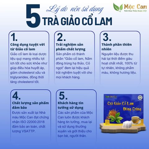 Trà Giảo Cổ Lam Đông Trùng Mộc Can - Hỗ Trợ Tim Mạch, Huyết Áp - Thảo Mộc Tự Nhiên, 25 Gói Lọc, Sản Phẩm Sạch, An Toàn