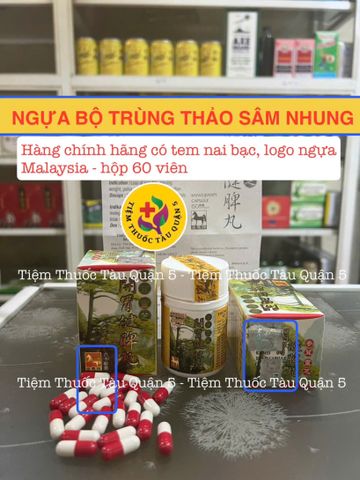 Viên uống Ngựa Bộ Trùng Thảo Sâm Nhung Malaysia - Hỗ trợ tăng cân, sức khỏe và sinh lực 60 Viên