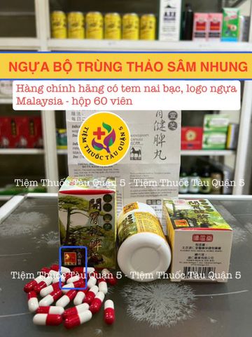 Viên uống Ngựa Bộ Trùng Thảo Sâm Nhung Malaysia - Hỗ trợ tăng cân, sức khỏe và sinh lực 60 Viên