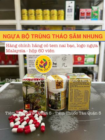 Viên uống Ngựa Bộ Trùng Thảo Sâm Nhung Malaysia - Hỗ trợ tăng cân, sức khỏe và sinh lực 60 Viên