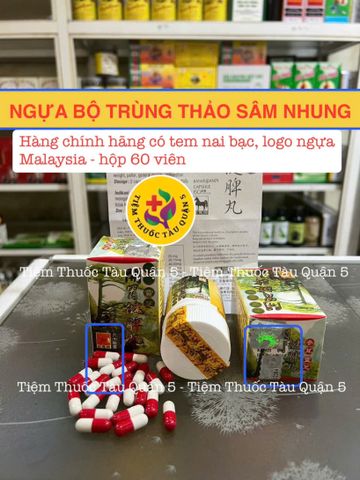 Viên uống Ngựa Bộ Trùng Thảo Sâm Nhung Malaysia - Hỗ trợ tăng cân, sức khỏe và sinh lực 60 Viên