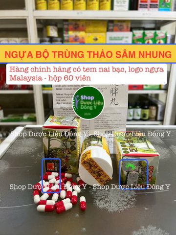Viên Uống Ngựa Bộ Trùng Thảo Sâm Nhung Chính Hãng - Hỗ Trợ Tăng Cân, Cải Thiện Giấc Ngủ và Trí Nhớ, 50 Viên