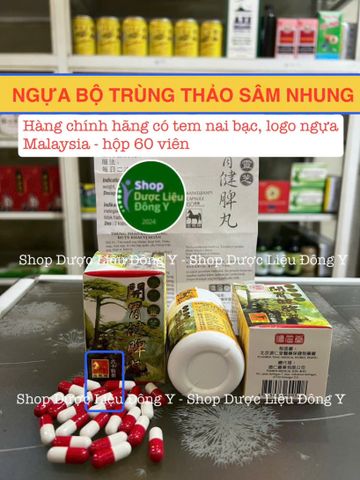 Viên Uống Ngựa Bộ Trùng Thảo Sâm Nhung Chính Hãng - Hỗ Trợ Tăng Cân, Cải Thiện Giấc Ngủ và Trí Nhớ, 50 Viên