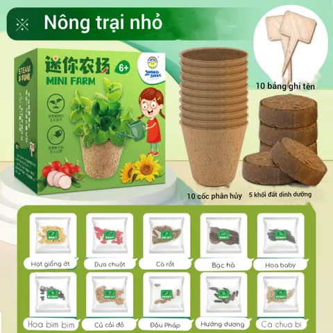 Bộ Kit Nhà Kính Trồng Cây Mini Cho Bé - Đồ Chơi Giáo Dục STEM Quan Sát Sinh Trưởng Cây Cảnh Thân Thiện Môi Trường