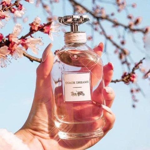 Nước hoa COACH DREAMS EDP 90ML - Hương thơm quyến rũ, nhẹ nhàng cho phái đẹp, thiết kế sang trọng, quà tặng ý nghĩa cho mọi dịp