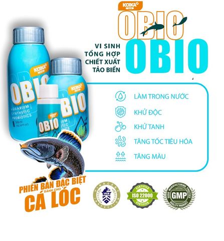 Men Vi Sinh KOIKA OBIO Cho Cá Lóc (Phiên bản tết 2026) - Tăng Trưởng & Hỗ Trợ Sinh Trưởng Cá Lóc Khỏe Mạnh, Nước Trong Sạch