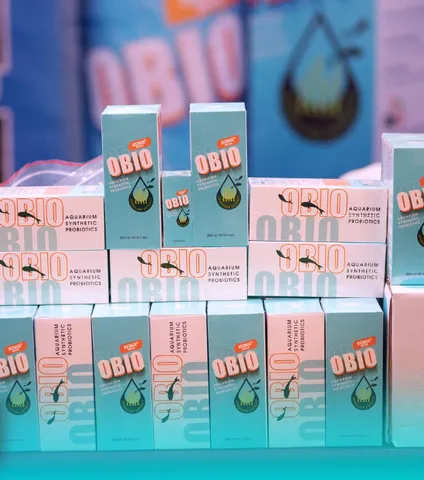 Vi Sinh KOIKA OBIO (Phiên bản tết 2026) - Giúp Làm Sạch Nước Bể Cá, Tăng Hệ Miễn Dịch và Tiêu Hóa Cho Cá Cảnh