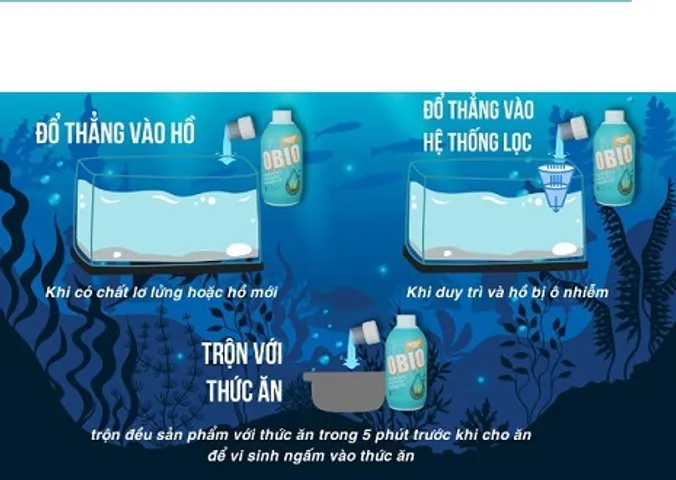 Vi Sinh KOIKA OBIO (Phiên bản tết 2026) - Giúp Làm Sạch Nước Bể Cá, Tăng Hệ Miễn Dịch và Tiêu Hóa Cho Cá Cảnh