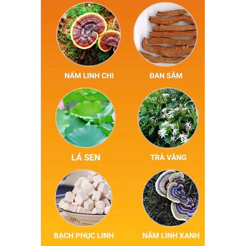 Viên Uống Giảm Cân LIULY 100% Tự Nhiên - Hỗ Trợ Đốt Mỡ, Kiểm Soát Cảm Giác Thèm Ăn - Sản Phẩm Hiệu Quả Tại Nhà