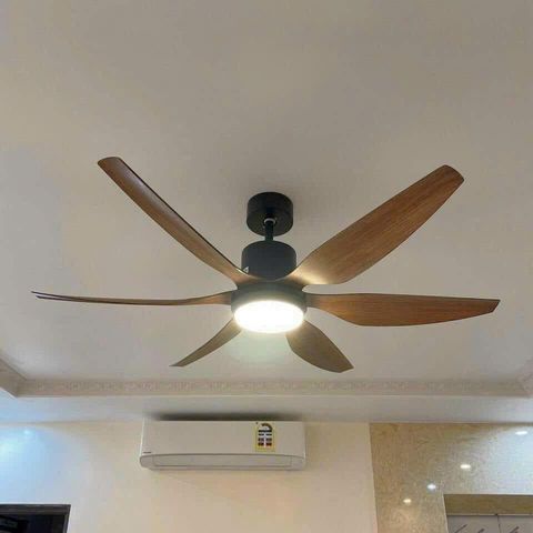 Quạt trần đèn CeilingFanking QT-001 - Thiết kế sang trọng, tiết kiệm điện, điều khiển từ xa, phù hợp mọi không gian và khí hậu Việt Nam