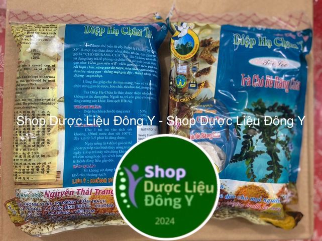 Trà Diệp Hạ Châu - Thảo Mộc Tự Nhiên Giúp Giải Độc, Thanh Nhiệt, 100 Túi Lọc Chó Đẻ Răng Cưa - Sức Khỏe Gan, Uống Ngon Miệng