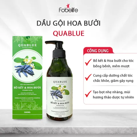 Dầu Gội Thảo Dược Hoa Bưởi Quablue Fobe Tinh Chất Bồ Kết và Hoa Bưởi Kích Thích Mọc Tóc N2 Chai 300ml