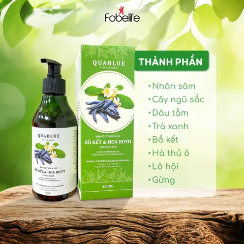 Dầu Gội Thảo Dược Hoa Bưởi Quablue Fobe Tinh Chất Bồ Kết và Hoa Bưởi Kích Thích Mọc Tóc N2 Chai 300ml