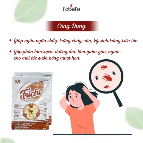 Dầu Gội Trichi Diệt Chấy, Sạch Trứng Chấy Rận Ký Sinh Trùng Trên Tóc Gói N1 - Gói 5ml