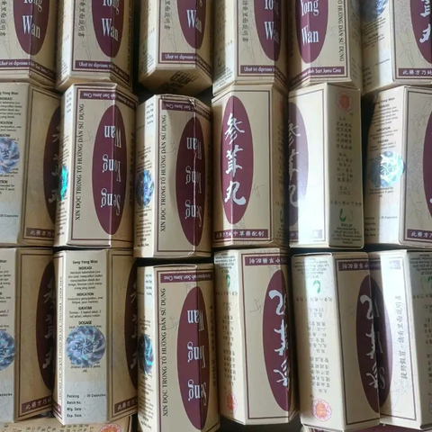 Sâm Nhung Seng Yong Wan - Hỗ Trợ Tăng Cân, Ngủ Ngon, Thiếu Máu, Mất Ngủ - Hộp 20 Viên WELIP