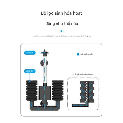 Lọc Vi Sinh Bông Đôi SunSun JF-80 JF-120 - Thiết Kế Tinh Tế Với Bơm 3W Cho Hồ Cá Sạch, Chính Hãng Trung Quốc