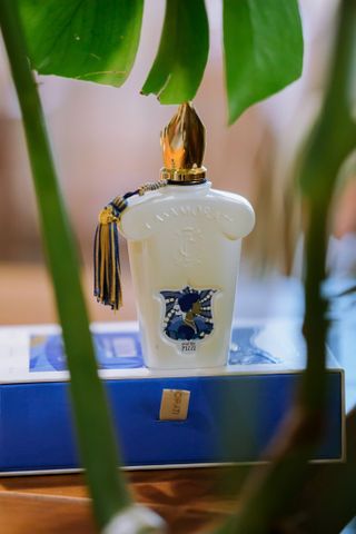 Nước Hoa Unisex Xerjoff Quattro Pizzi Casamorati EDP 10ml - Hương Amber Floral Quyến Rũ, Sang Trọng từ Ý