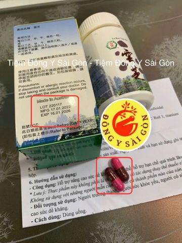 Lục Bảo Vân Chi - Thực Phẩm Chức Năng Cải Thiện Sức Đề Kháng, Hỗ Trợ Giải Độc Gan - Chính Hãng, Hộp 60 Viên Mới Nhất