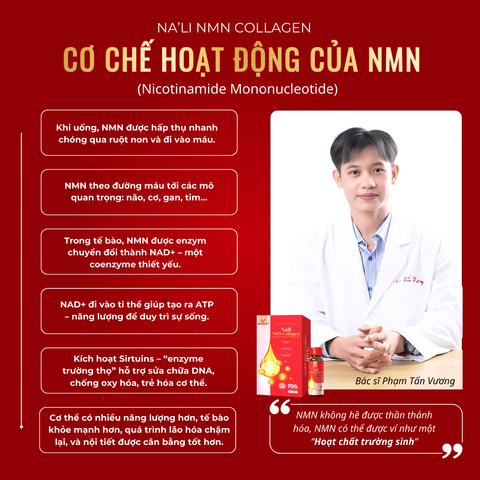 Nước Uống Collagen Na'li Nutri - Hỗ Trợ Trẻ Hóa Da, Căng Bóng, 10 Chai 50ml - Thành Phần Đức, Nhật, Vitamin C, Yến Sào