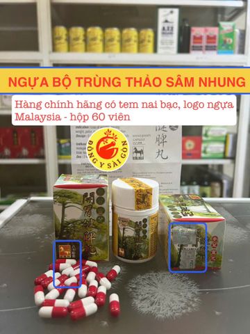 Ngựa Bộ Trùng Thảo Sâm Nhung Malaysia 60 Viên - Hỗ Trợ Tăng Cân Hiệu Quả - Thực Phẩm Chức Năng Bồi Bổ Cơ Thể