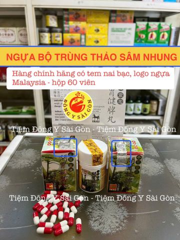 Ngựa Bộ Trùng Thảo Sâm Nhung Malaysia 60 Viên - Hỗ Trợ Tăng Cân Hiệu Quả - Thực Phẩm Chức Năng Bồi Bổ Cơ Thể