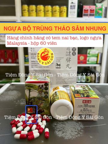 Ngựa Bộ Trùng Thảo Sâm Nhung Malaysia 60 Viên - Hỗ Trợ Tăng Cân Hiệu Quả - Thực Phẩm Chức Năng Bồi Bổ Cơ Thể