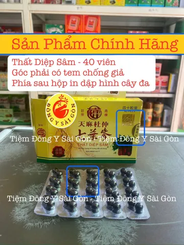 Thất Diệp Sâm 40 Viên - Hỗ Trợ Xương Khớp, Giảm Đau Nhức, Viêm Khớp - Sản Phẩm Chính Hãng Từ Malaysia