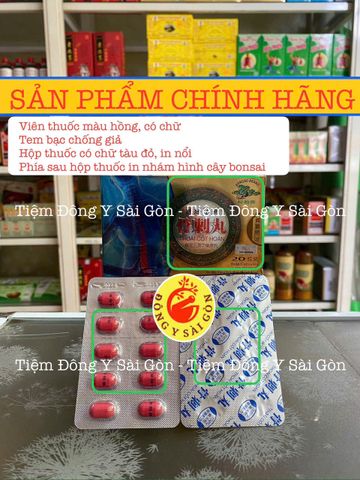 THOÁI CỐT HOÀN - Viên Uống Giảm Đau Nhức Xương Khớp - Hỗ Trợ Điều Trị Đau Viêm Khớp - Hộp 20 Viên Chính Hãng