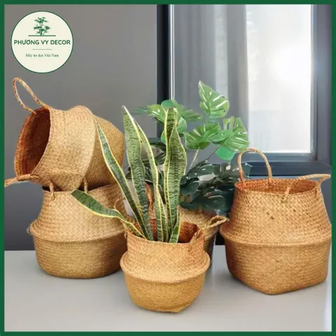 Giỏ Cói Chất Liệu Tự Nhiên - Túi Đựng Đồ Đa Năng, Trang Trí Nhà Cửa, Trồng Cây, Thân Thiện Với Môi Trường