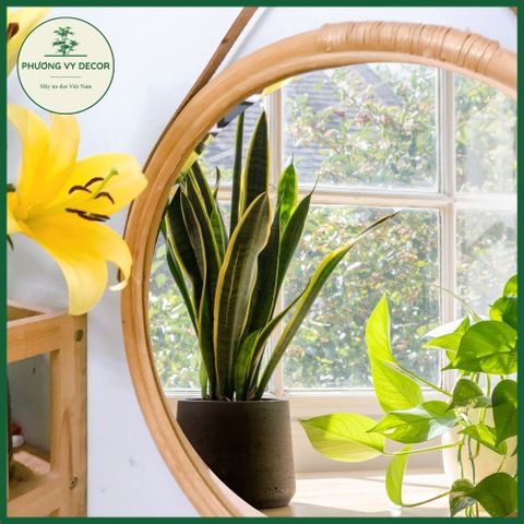 Gương Mây Treo Tường Hình Tròn - Trang Trí Nhà Cửa & Khách Sạn Từ Nguyên Liệu Tự Nhiên, Đường Kính 40cm & 52cm