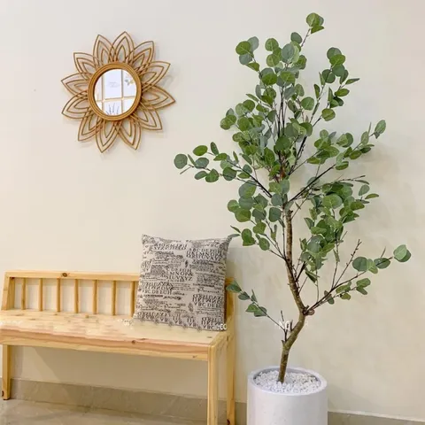 Gương Mây Decor, Gương Decor Treo Tường, Gương Decor Trang Trí Phòng xinh xắn Phương Vy Decor