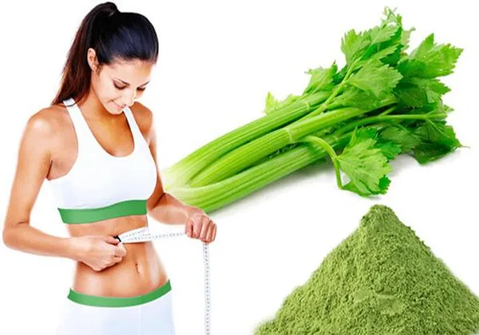 Nước Ép Cần Tây Tươi One Life - Giải Pháp Detox, Giảm Cân An Toàn, Không Chất Bảo Quản, Công Nghệ Nano Cho Làn Da Khỏe Mạnh