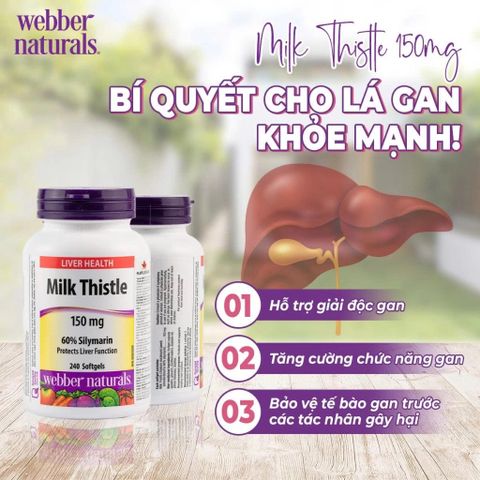 Viên Uống Hỗ Trợ Gan Webber Naturals Milk Thistle 150mg (240 viên) - Thải Độc và Bảo Vệ Sức Khỏe Gan Tối Ưu