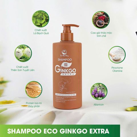 Dầu Gội Ginkgo Thanh Mộc Hương 500ml - Nuôi Dưỡng Mái Tóc Óng Mượt, Khỏe Mạnh, Giảm Ngứa Da Đầu, Phục Hồi Tóc Hư Tổn