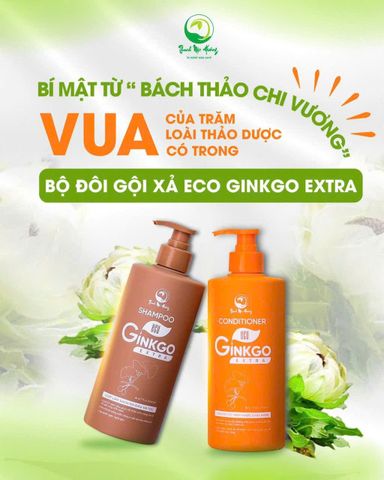 Dầu Gội Ginkgo Thanh Mộc Hương 500ml - Nuôi Dưỡng Mái Tóc Óng Mượt, Khỏe Mạnh, Giảm Ngứa Da Đầu, Phục Hồi Tóc Hư Tổn