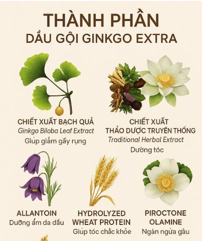 Dầu Gội Ginkgo Thanh Mộc Hương 500ml - Nuôi Dưỡng Mái Tóc Óng Mượt, Khỏe Mạnh, Giảm Ngứa Da Đầu, Phục Hồi Tóc Hư Tổn