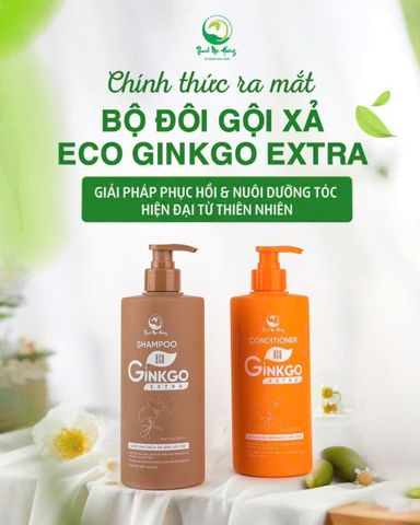 Dầu xả Ginkgo Thanh Mộc Hương 500ml - Phục hồi tóc hư tổn, cấp ẩm, cho tóc suôn mượt và chắc khỏe, phù hợp cho cả nam và nữ.