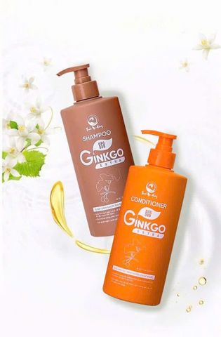 Dầu xả Ginkgo Thanh Mộc Hương 500ml - Phục hồi tóc hư tổn, cấp ẩm, cho tóc suôn mượt và chắc khỏe, phù hợp cho cả nam và nữ.