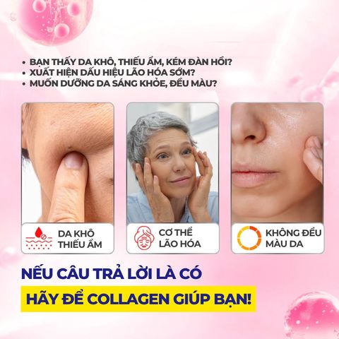 [Nhập khẩu] Viên Uống Collagen DHC – Căng Mịn, Mờ Nhăn, NgănLão Hóa (180 Viên/ 30 Ngày)