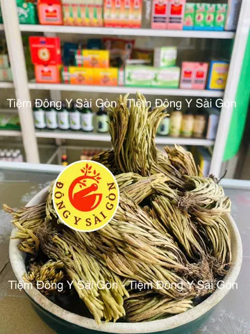 Cây Trường Sinh - Móng Lưng Rồng 1kg - Thực Phẩm Khô Hỗ Trợ Sức Khỏe, Chữa Đau Nhức, Bỏng, Trĩ Xuất Huyết Việt Nam